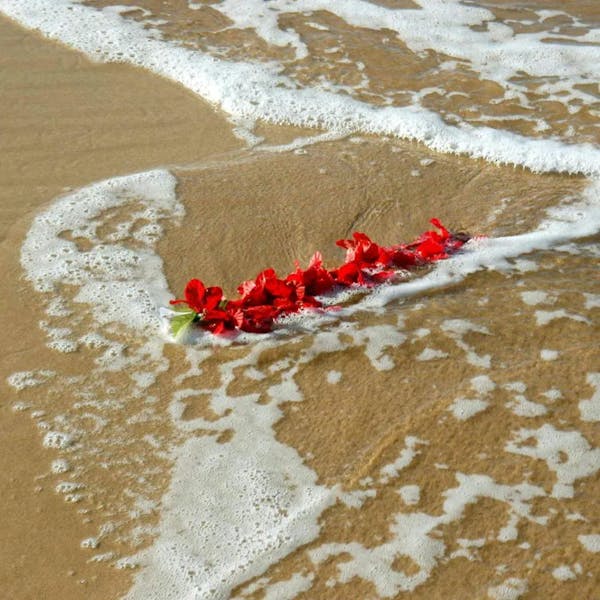 Releasing-unstrung-leis-into-the-ocean