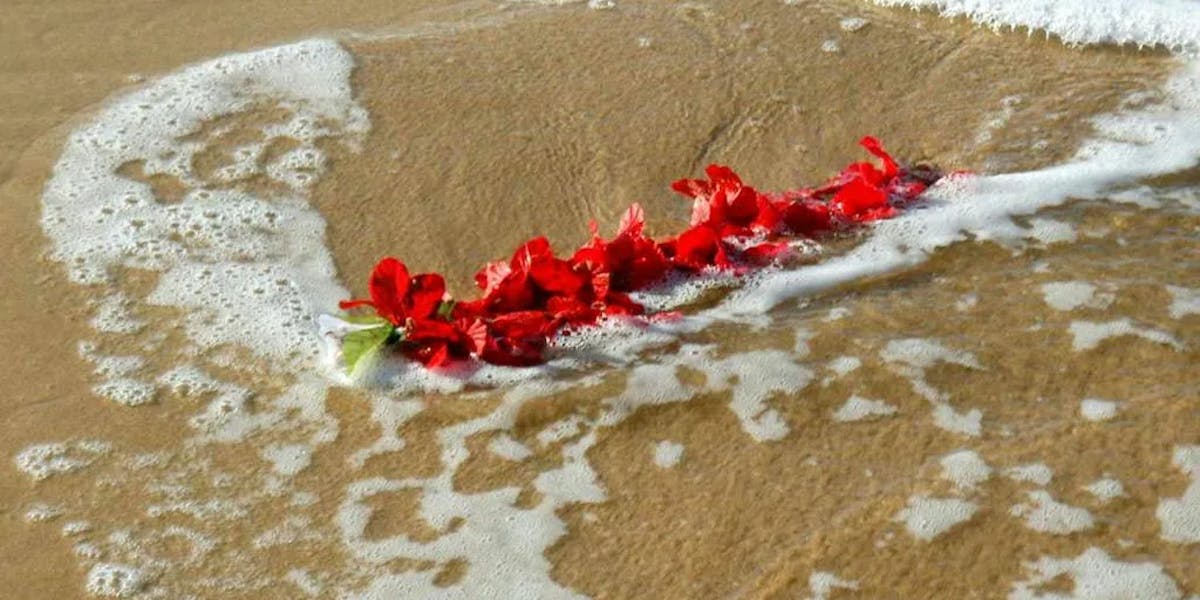 Releasing-unstrung-leis-into-the-ocean Releasing-unstrung-leis-into-the-ocean