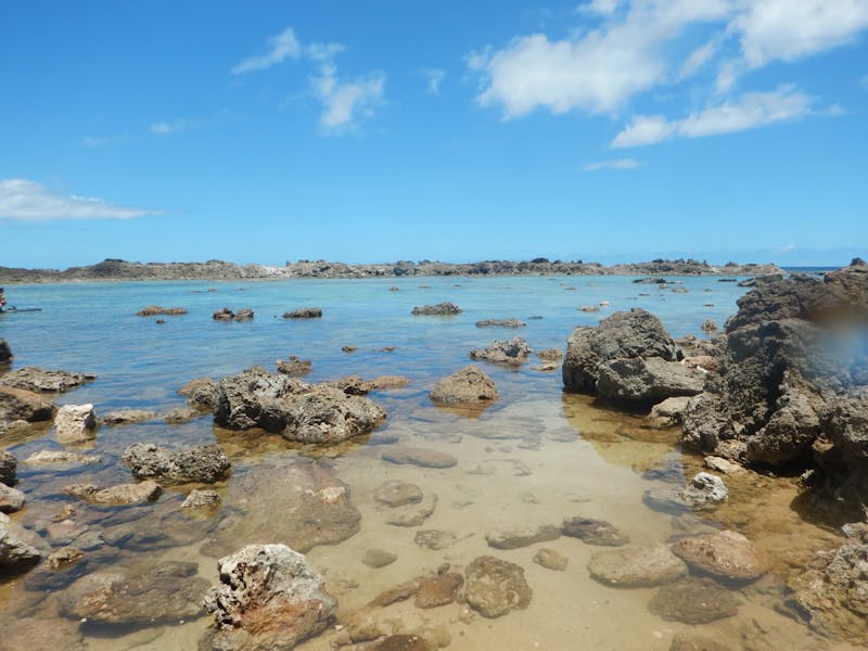 Sharks-Cove-1-of-3