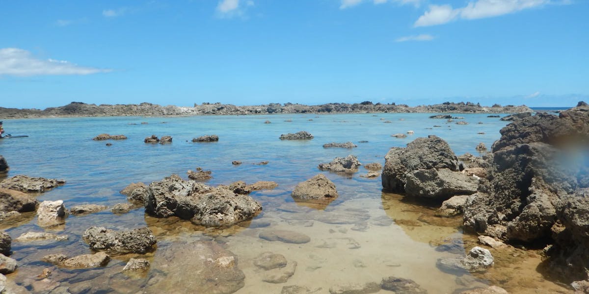 Sharks-Cove-1-of-3 Sharks-Cove-1-of-3