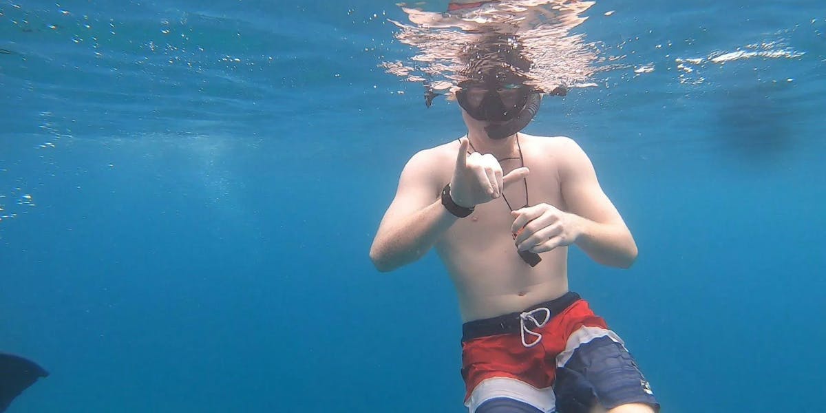 Snorkel-3-1 Snorkel-3-1