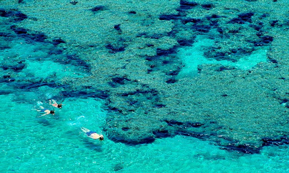 Snorkeling-in-Hawaii