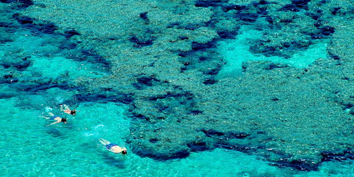 Snorkeling-in-Hawaii Snorkeling-in-Hawaii