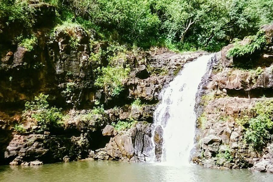 Waimea_Falls