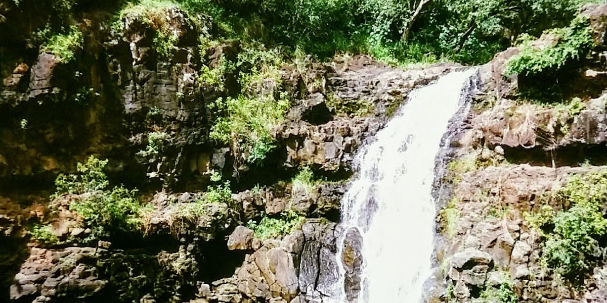 Waimea_Falls Waimea_Falls