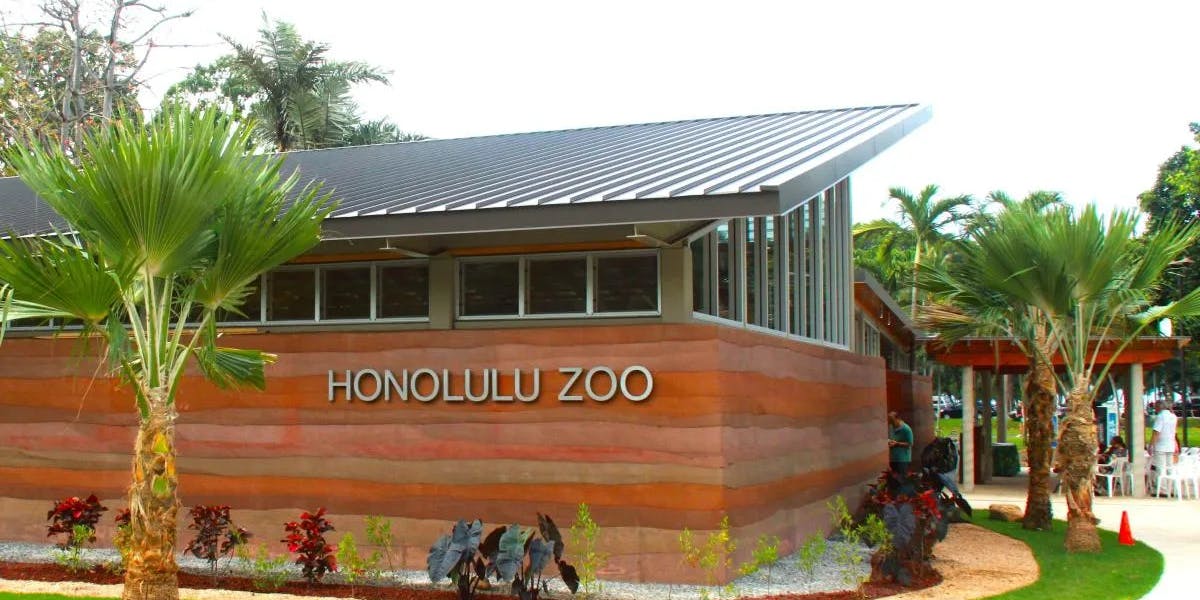 Zoo-1 Zoo-1