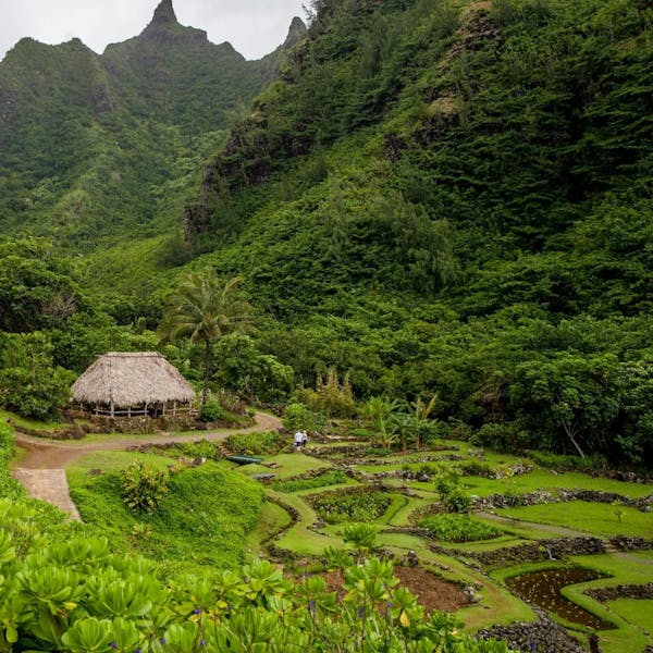 botanical-gardens-in-Kauai