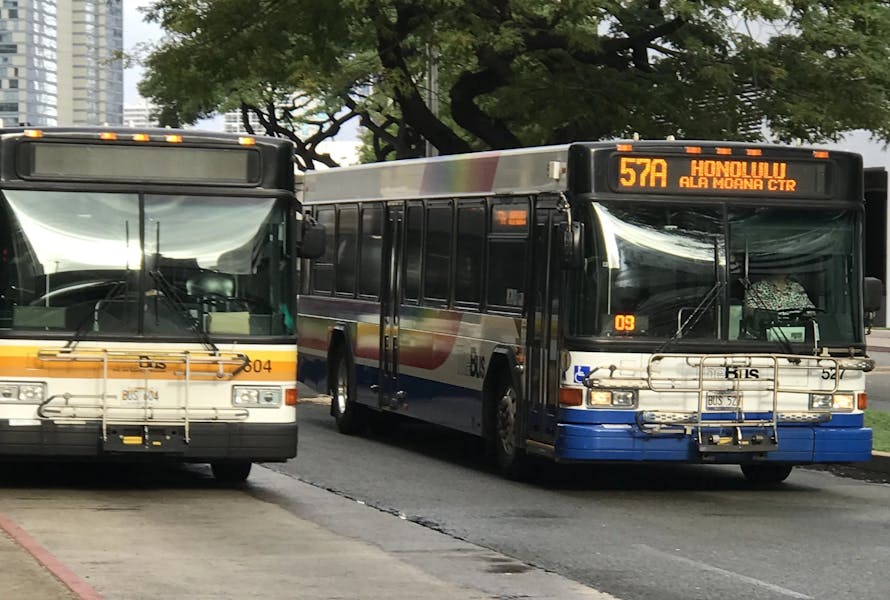 bus-bus