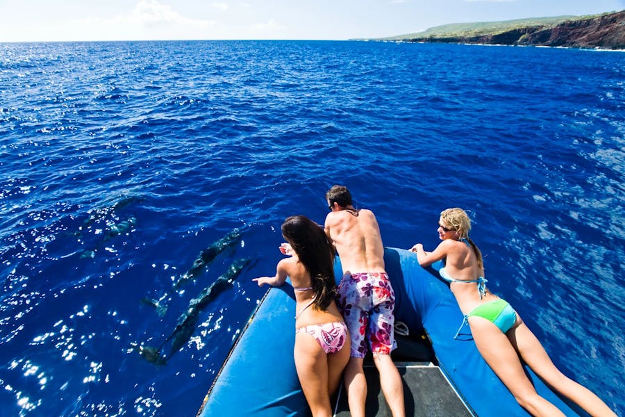 dolphin-tours-boat