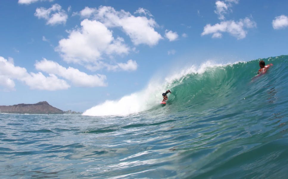 flynn-bowls-cut