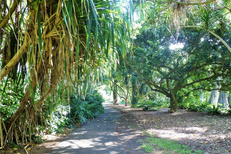 foster-botanical-gardens
