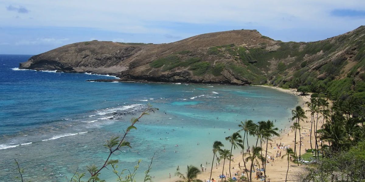 hanauma-bay-240144_1280 hanauma-bay-240144_1280