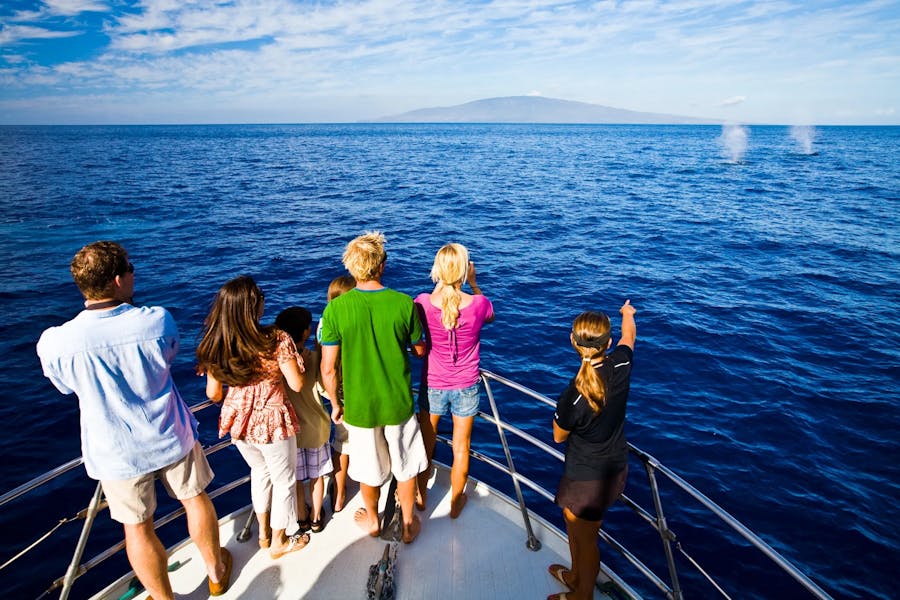 hawaii-whale-watching-boat
