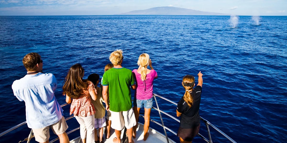 hawaii-whale-watching-boat hawaii-whale-watching-boat