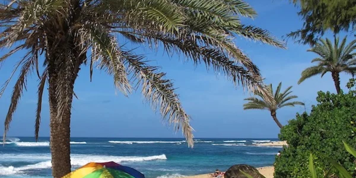 hawaiian-beach-view hawaiian-beach-view