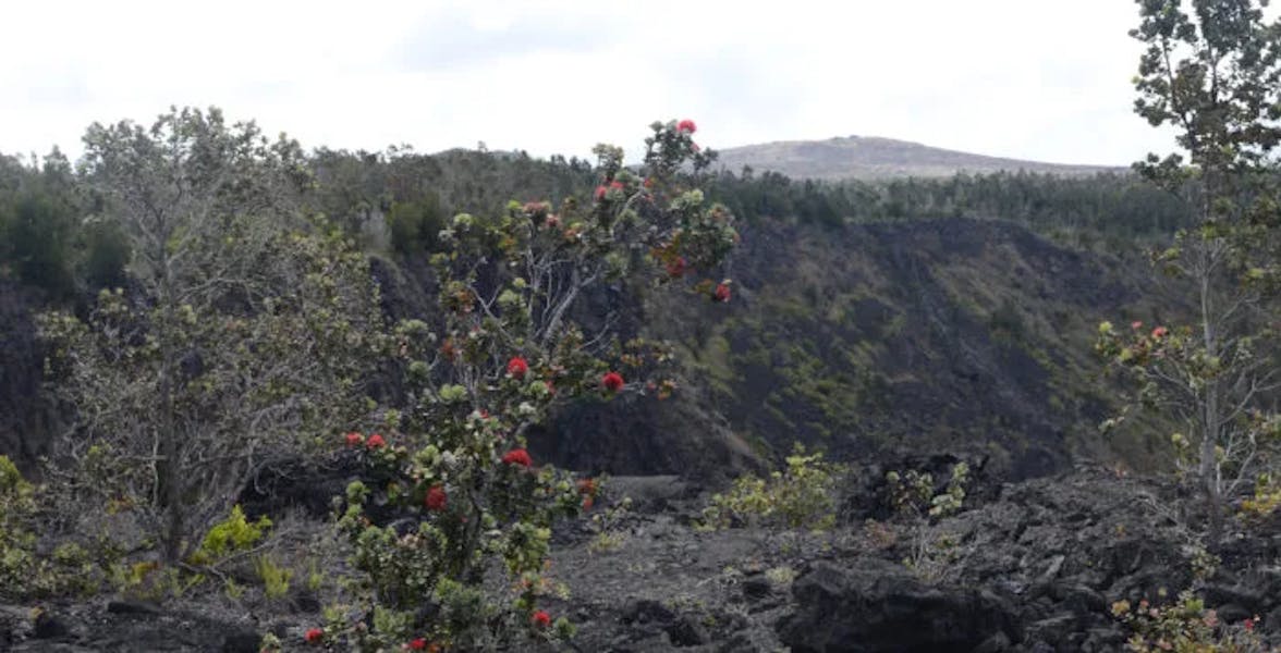 hawaiian-legends-1-of-1-700x357-1