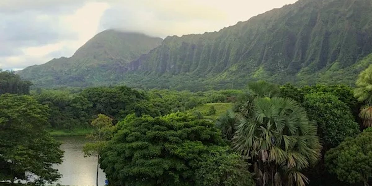 hoomaluhia-botanical-gardens hoomaluhia-botanical-gardens