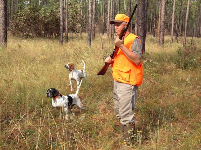 hunter-613455_1280