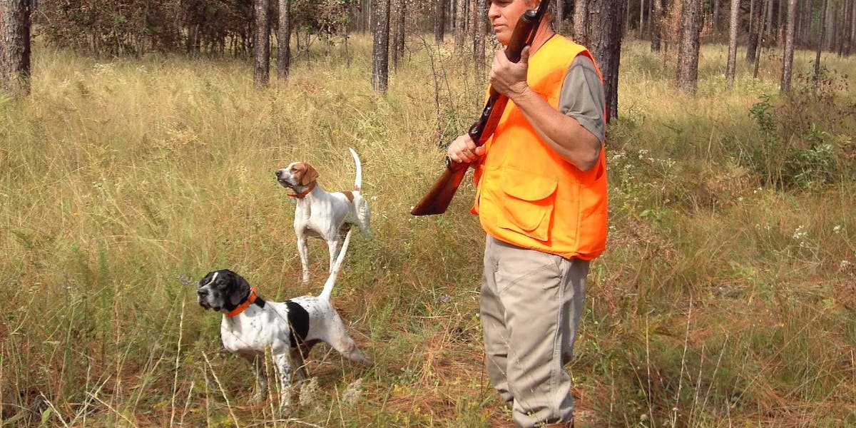 hunter-613455_1280 hunter-613455_1280