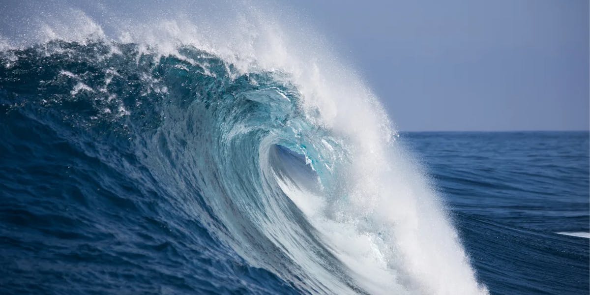 jaws-hawaii jaws-hawaii