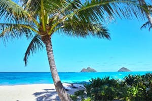 lanikai beach hotels