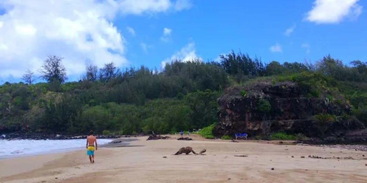 lawai-bay-beach lawai-bay-beach