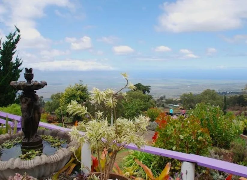 maui-lavender-garden-lanai