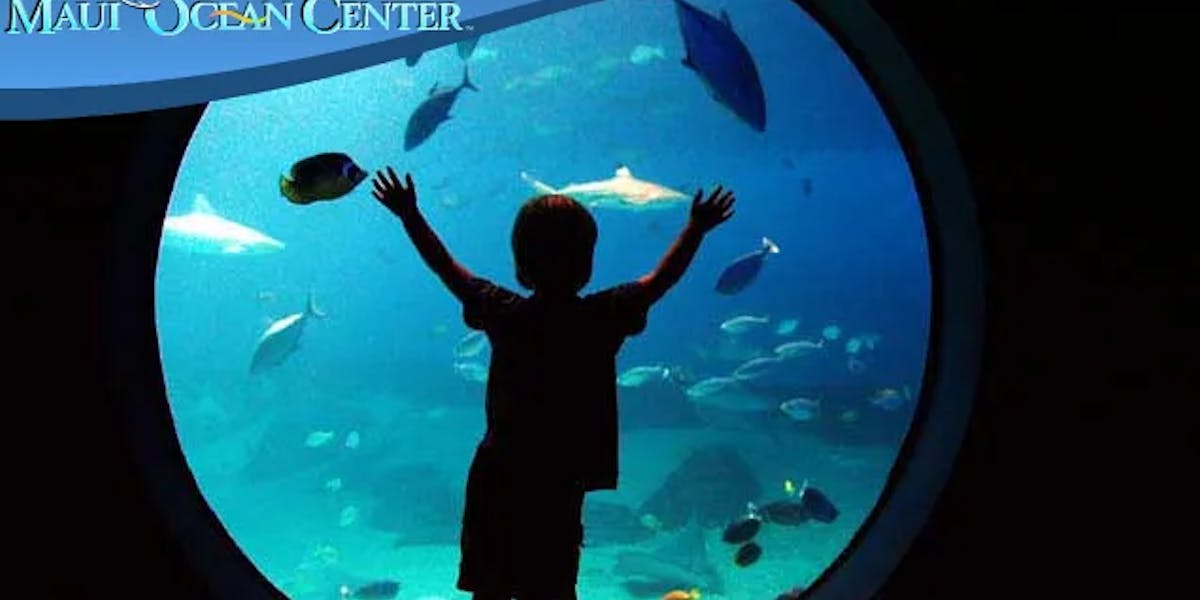 maui-ocean-center-child maui-ocean-center-child