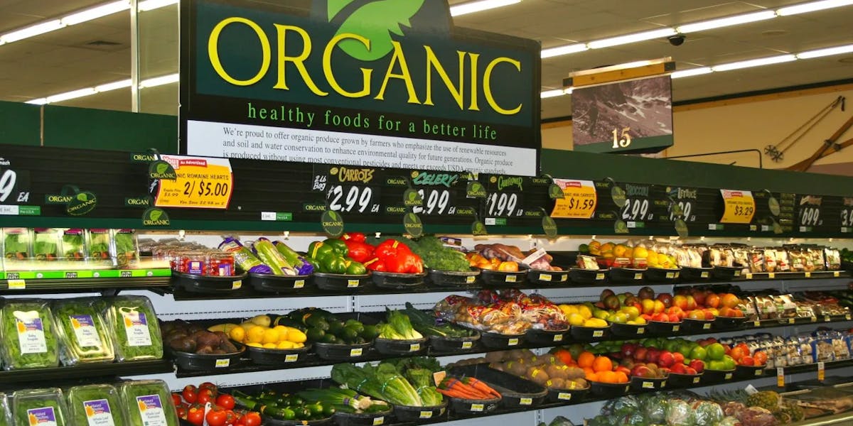organic-grocery-food-section organic-grocery-food-section