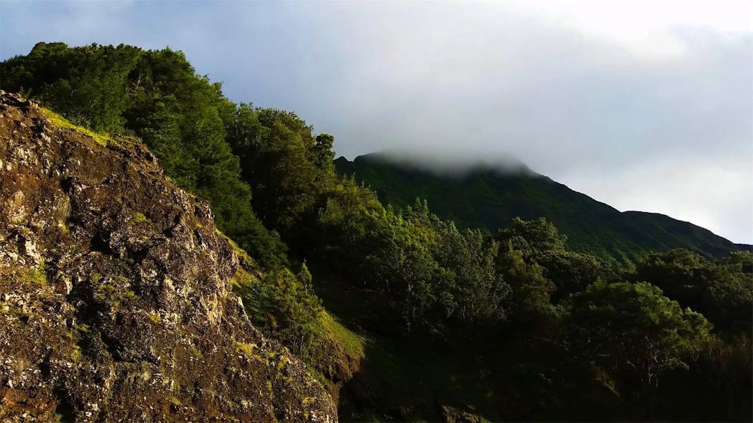 pali-highway-1