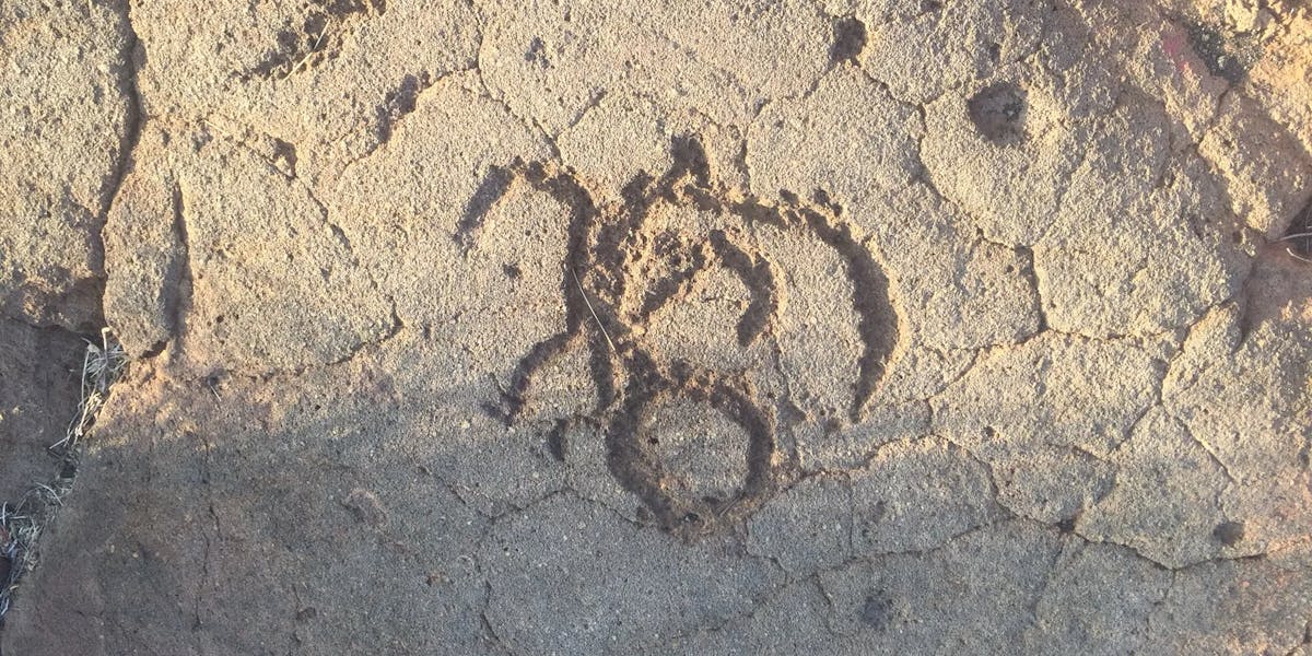 petroglyphs-moo petroglyphs-moo