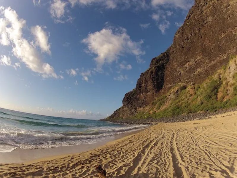 DCIM100GOPRO