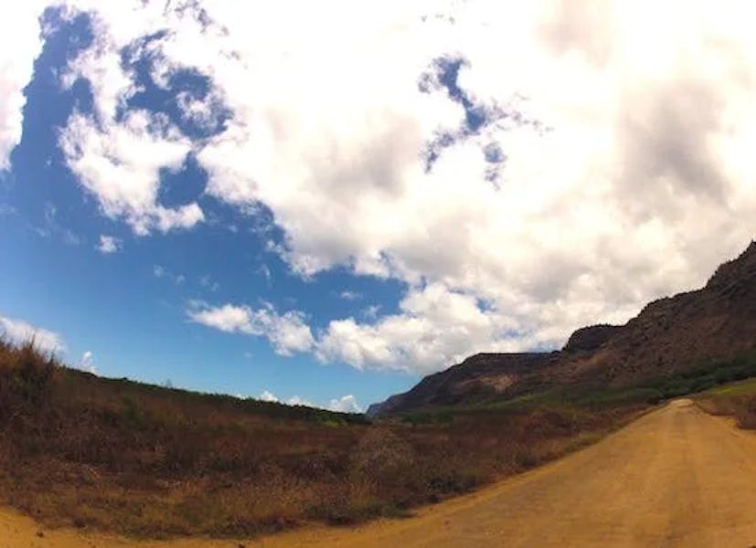 polihale-drive2 polihale-drive2