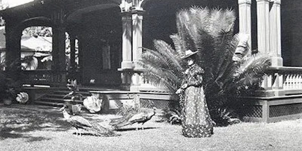 princess-kaiulani-feeds-chicken princess-kaiulani-feeds-chicken