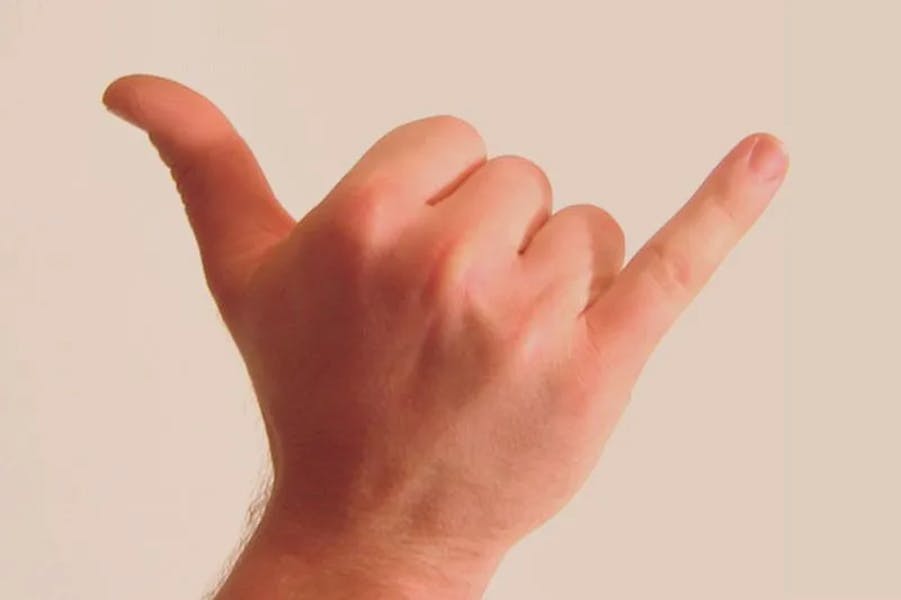 shaka