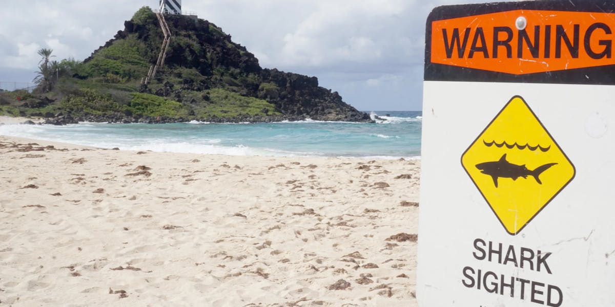 Linving in a shark-eat-shark world Lifeguards at Pyramid Rock Beach post a sign warning about a shark sighting, June 17, 2015. All beach goers must stay out of the water for a 45-minute period after signs are posted. Signs remain up at the beach after the 45-minute period to warn future visitors of the earlier sighting. (U.S. Marine Corps photo by Christine Cabalo)