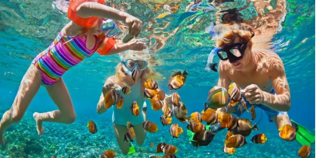 snorkeling snorkeling