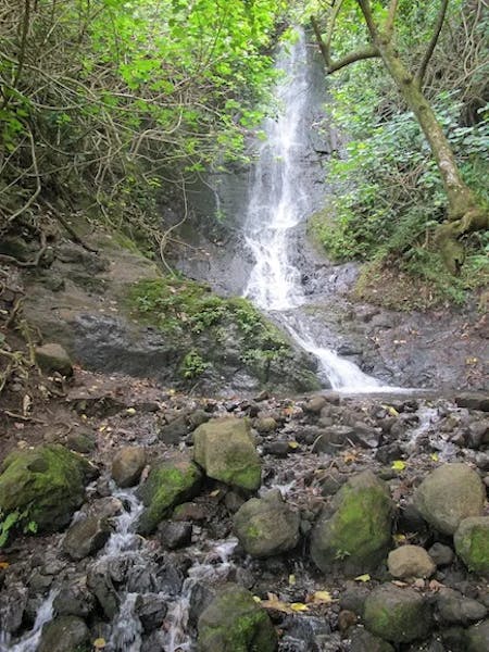 tall-waterfall-stream