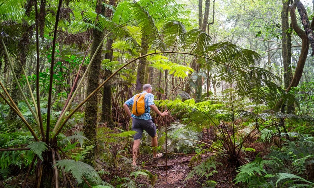 the-best-hikes-in-Hawaii-Big-Island