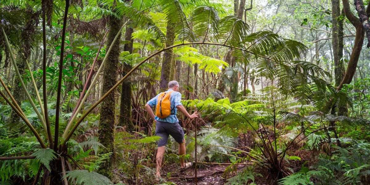 the-best-hikes-in-Hawaii-Big-Island the-best-hikes-in-Hawaii-Big-Island