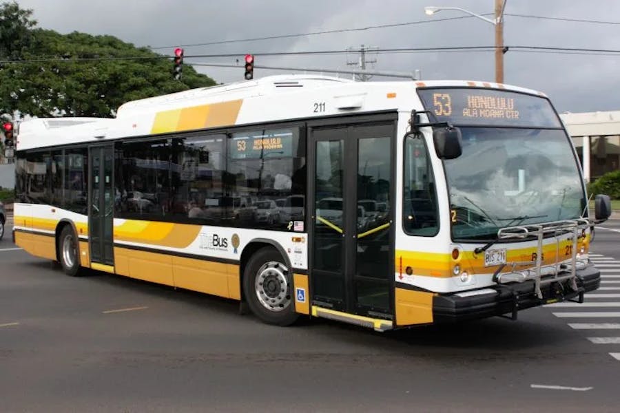 thebus1