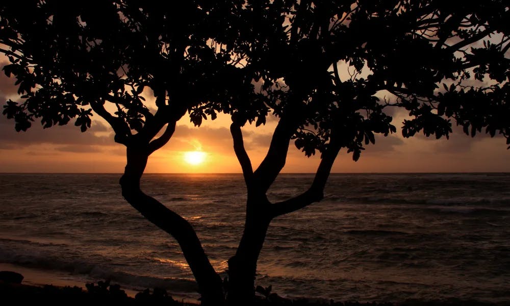 things-to-do-in-lahaina-maui