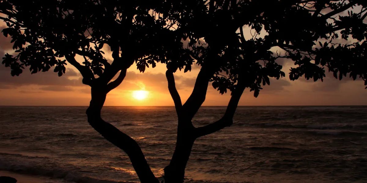 things-to-do-in-lahaina-maui things-to-do-in-lahaina-maui
