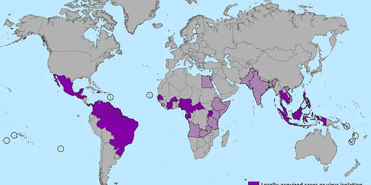 zika-virus zika-virus
