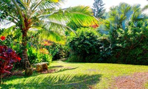 things to do in hawaii in january