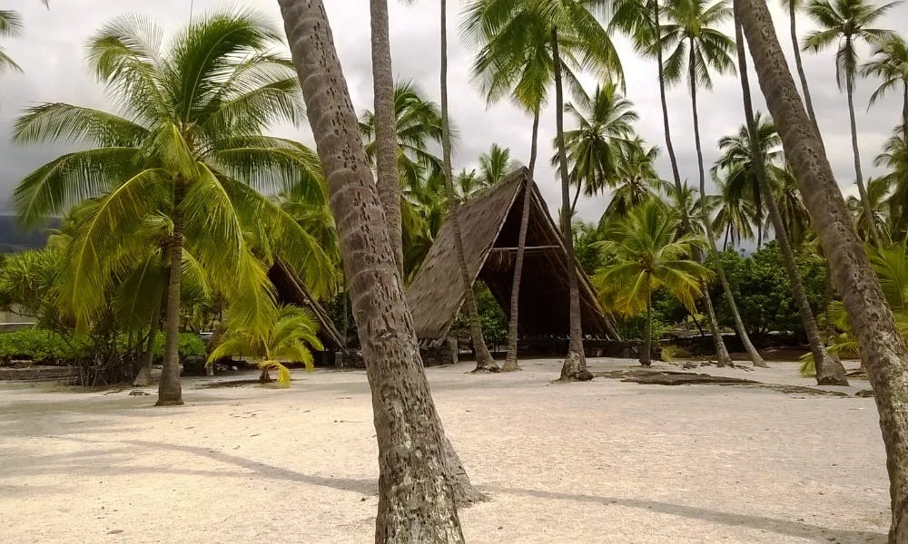 things to do in captain cook hawaii